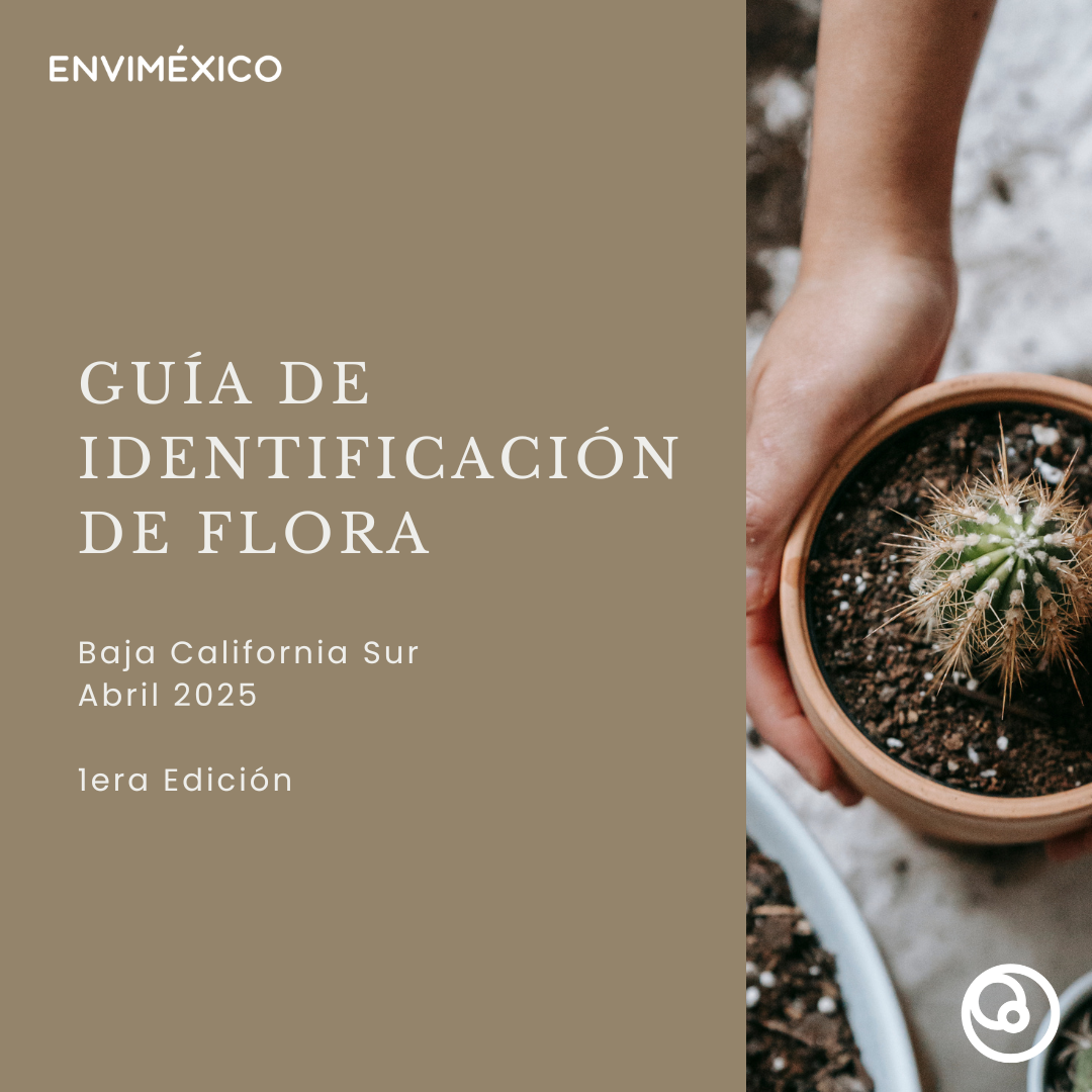 Guía de Id Flora I Edición 2025