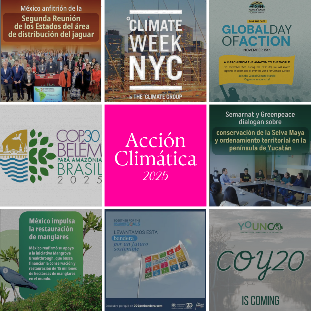 Eventos mundiales de sostenibilidad y ambiente 2025