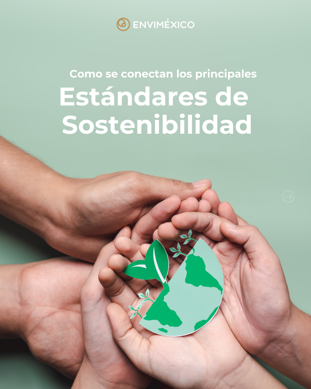 Convergencia de los estándares globales de sostenibilidad