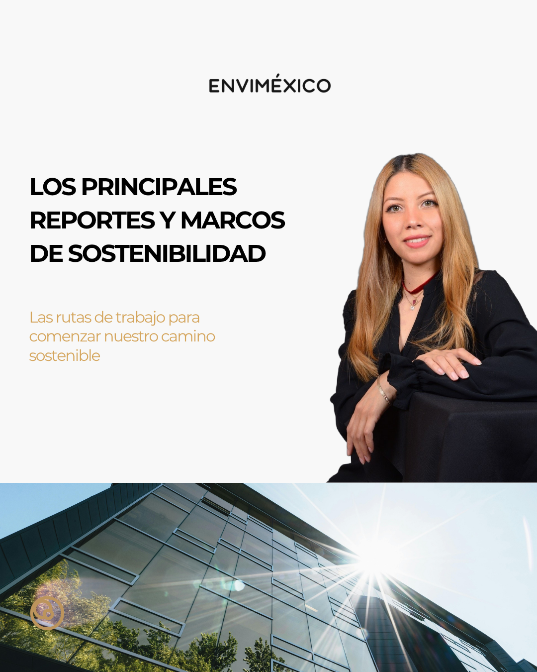 Los principales Reportes y Marcos de Sostenibilidad que toda empresa debe conocer 📝