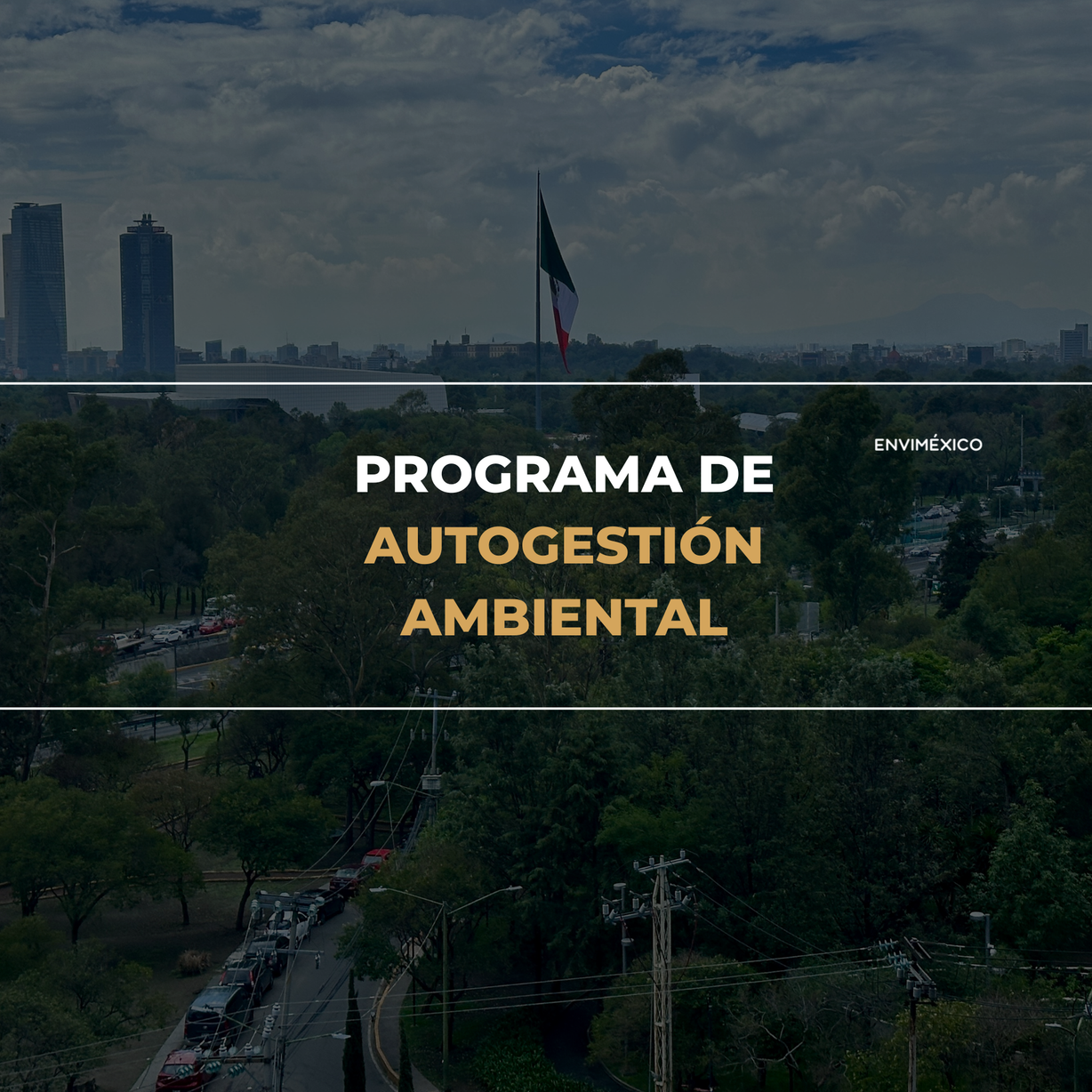 Programa de Autogestión Ambiental (HTM)