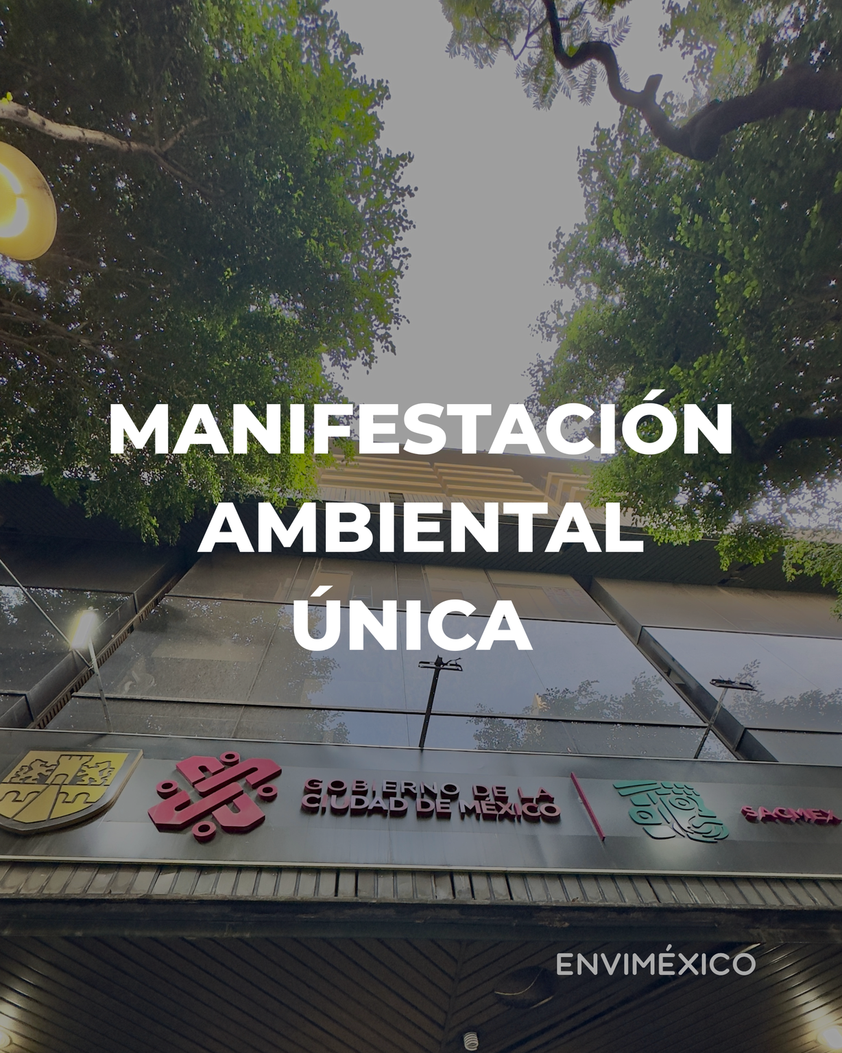 Manifestación Ambiental Única (MAU)